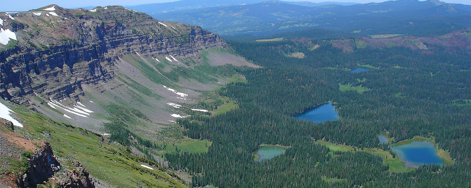 Medicine Bow-Routt National Forests | East Fork Trail | United States Department of Agriculture